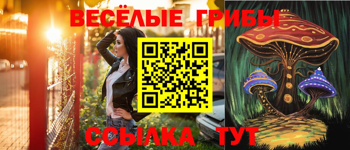 Галлюциногенные грибы Psilocybine cubensis Соль-Илецк
