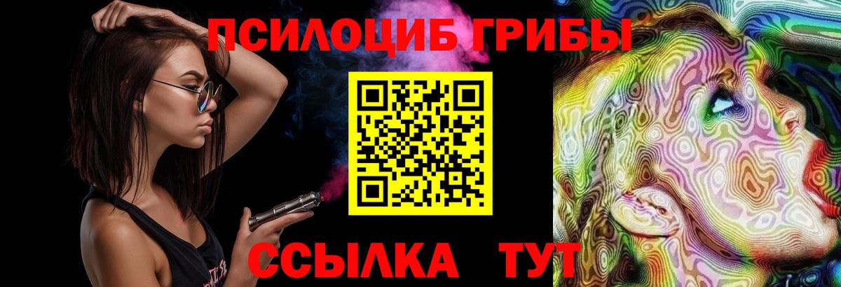 Соль-Илецк  Псилоцибиновые грибы мицелий  Вход с VPN 